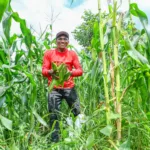 Piauí terá pagamento de R$ 80 milhões do Garantia-Safra para 68 mil famílias