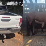 Polícia recupera quase R$ 1 milhão em bens de investigado por golpe contra produtor rural de Uruçuí